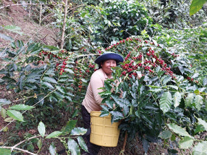 ROST – Bolivia Maria Pucho